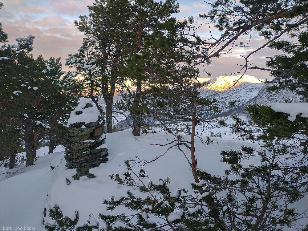 En respektabel varde på toppen av Kringlåthaugen. Ikke så vanlig på små skogstopper. Skarfjellet har fått besøk av kveldssola.