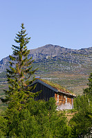 LarsOpp_20220130_61f6dc53668dd.jpg