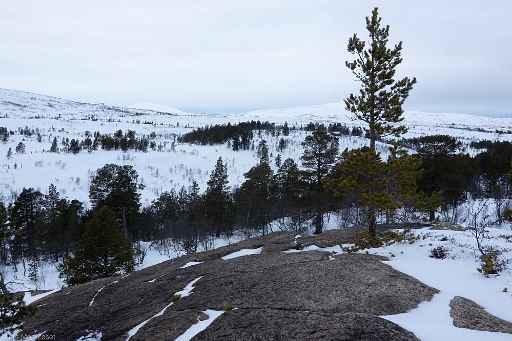 Tilbakeblikk til Grønhaugen fra Skjulberget.