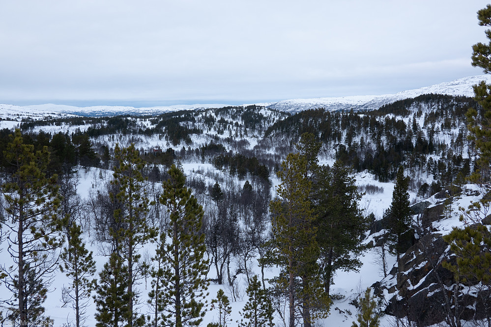 Nedover Åjøldalen, sett fra Skjulberget.