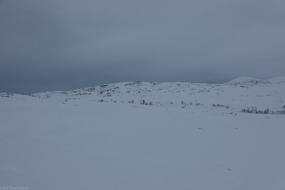 Kongensgrøfjellet sett fra Støggubekken.