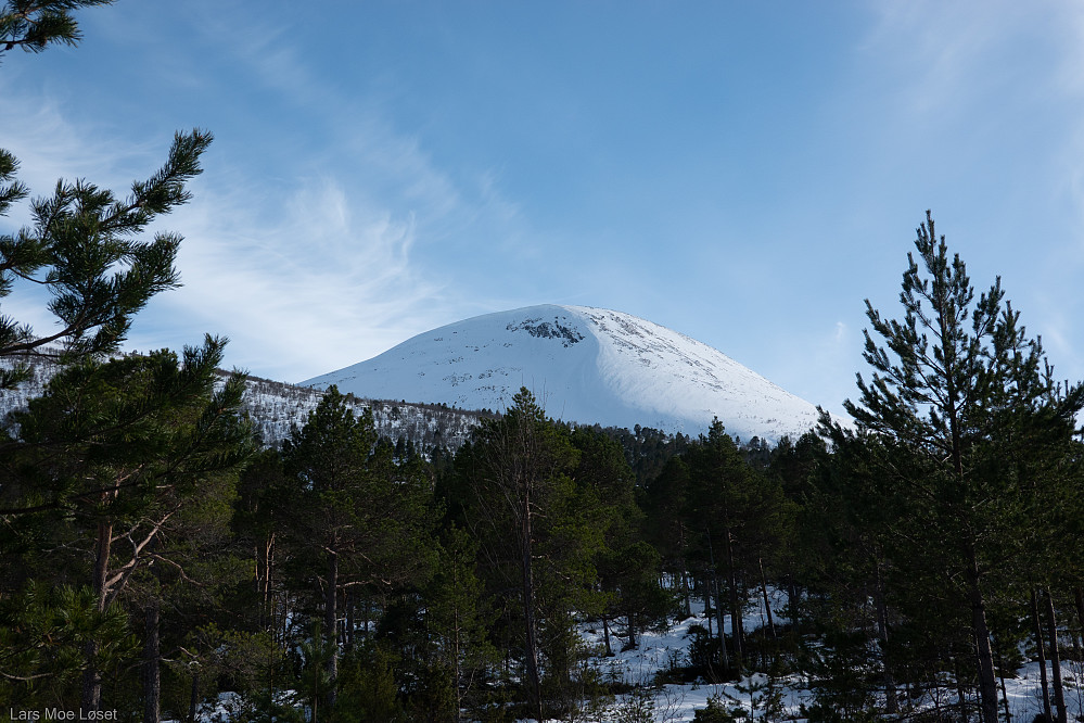 Skåla sett fra startpunktet, Vikåsen.