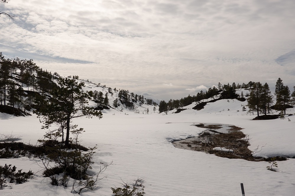 Nede i skogbandet passeres Lomtjønndalen igjen.