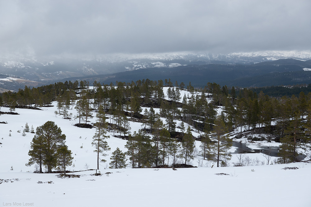 Pellhaugen og Vikahølen i Bølu nedenfor.