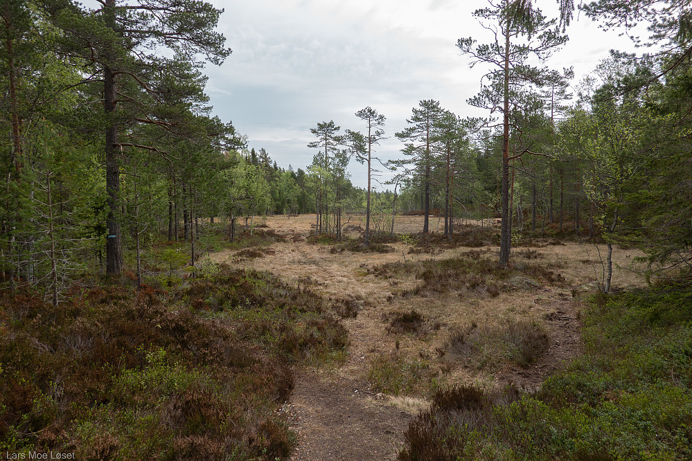 Langemyr