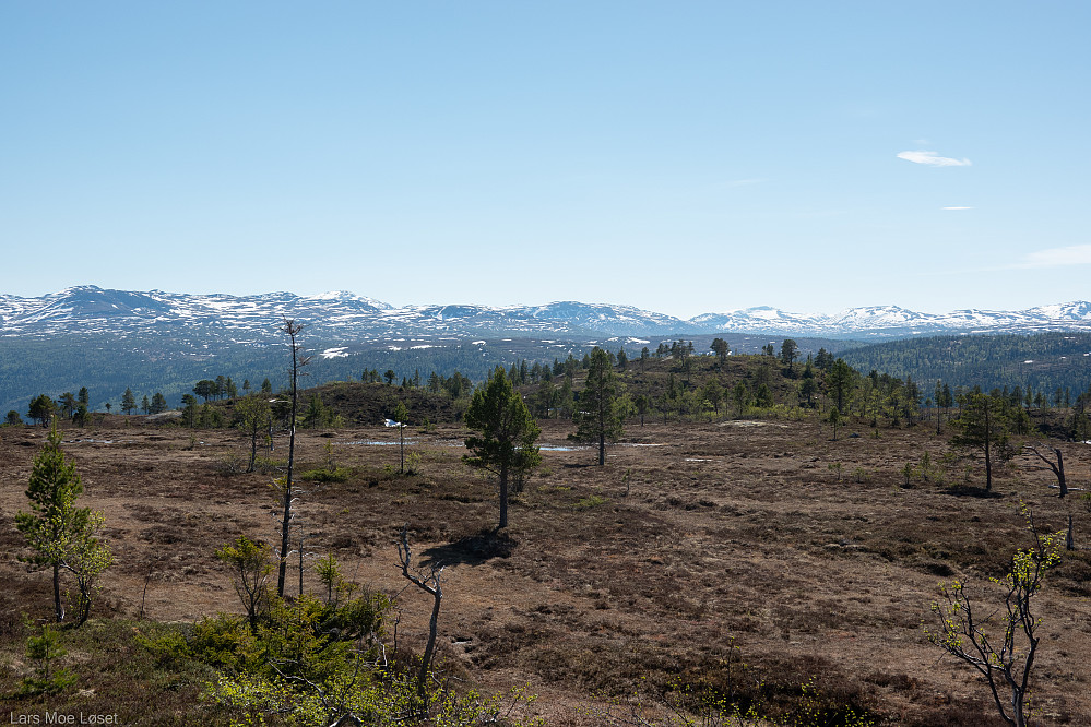 Gammelsæterhaugen passert.