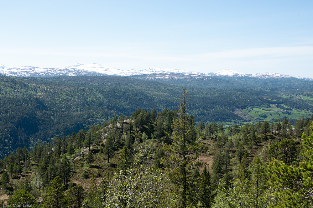 Pikhåmmåren (eller Pikkhåmmåren som kartverket også frimodig har kalt denne haugen).