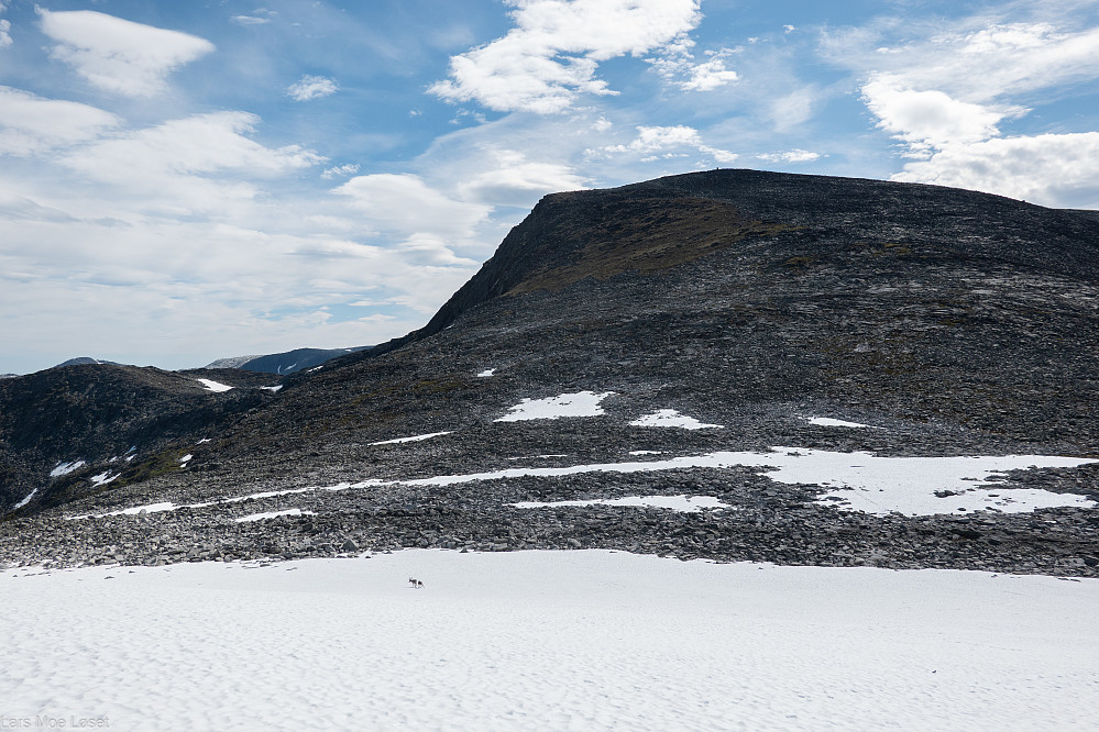 Midtre Storlifjellet.