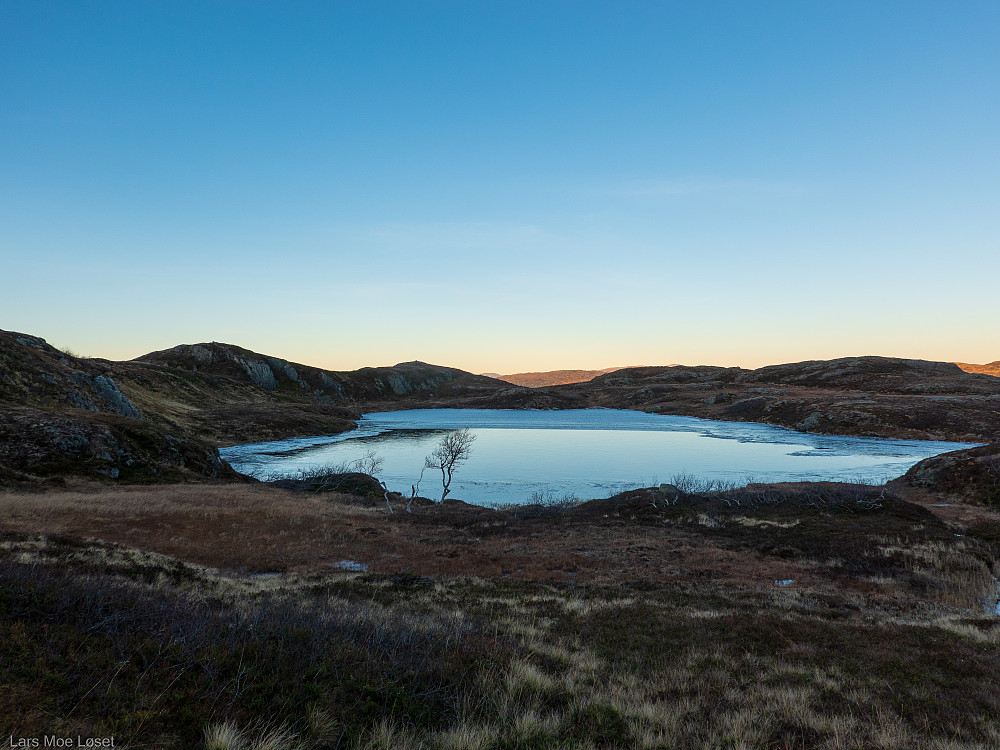 Over skoggrensa dukker Fjelltjønna opp, med haugene rundt gitt det artige navnet Stortåin.