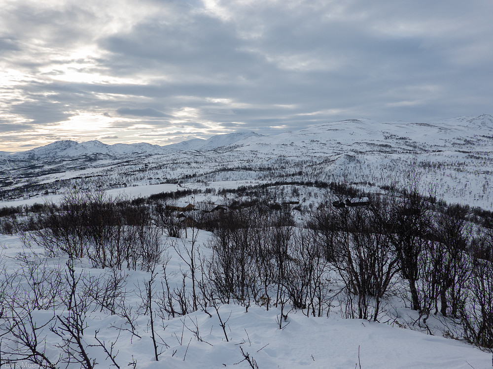 Utsikt mot sørvestover mot Grønhøa, fra masta på Ørnkjellhaugan. 