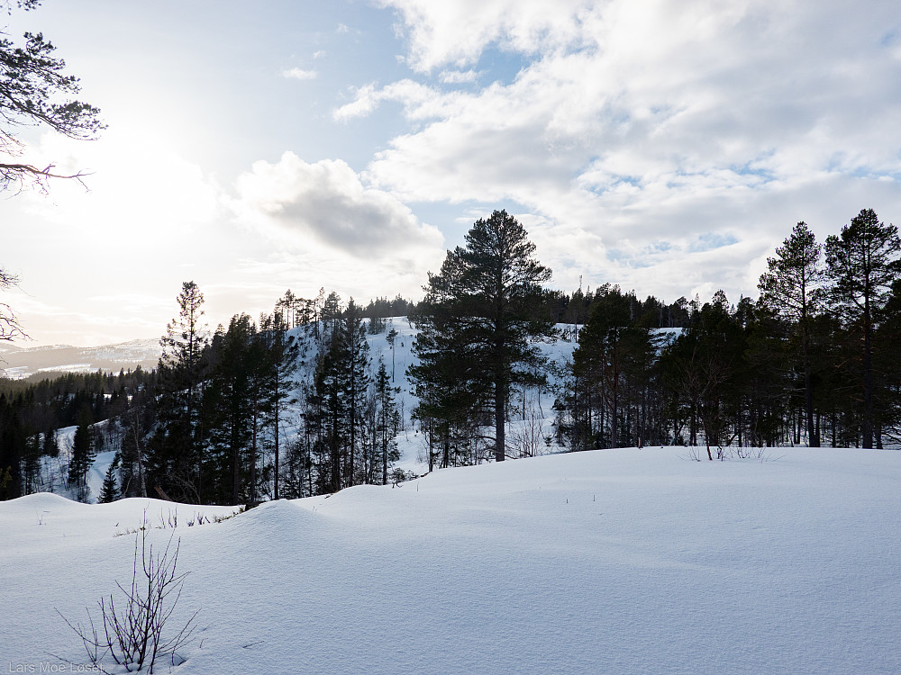 Myralykkjhåmmåren, østflanken.