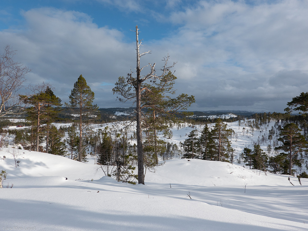 Fra Myralykkjhåmmåren.