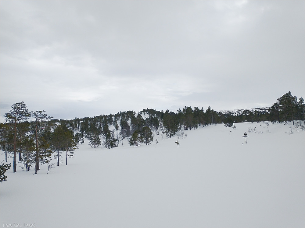 Østover mot Krokkjølen.