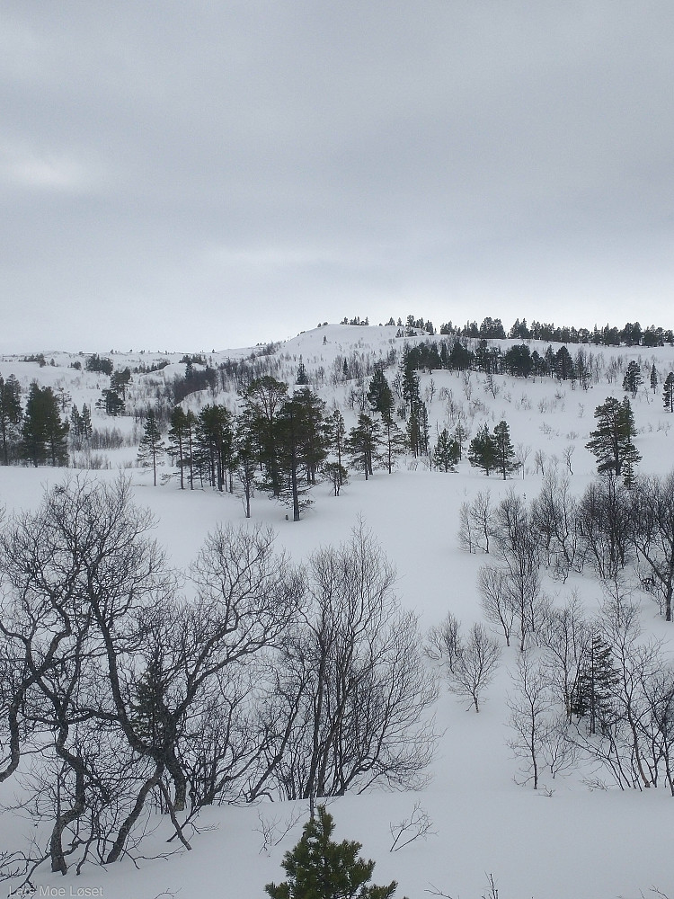 Sandåhaugen