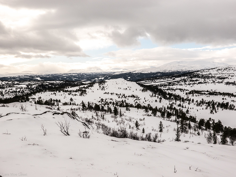 Litjkubbfjellet lenger vest på samme åsdraget.
