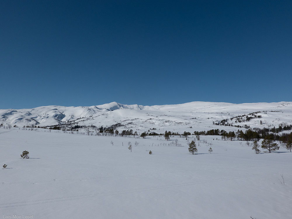 Fra Løfallseterdalen er dagens turmål i syne, Jørenskarfjell og Snipen.