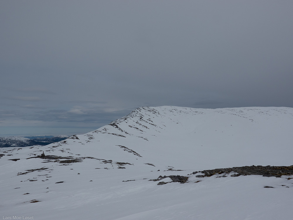 Innover mot Omnfjellbruna.