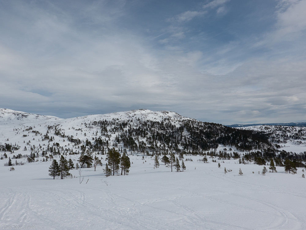 Holdt høyden i lia opp mot Gråfjellet. Fossfjellet på endre siden.