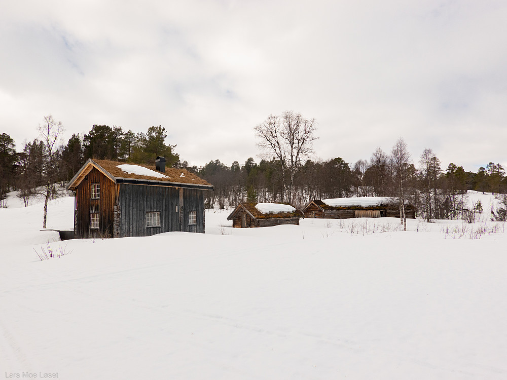 Raudfjelløyan