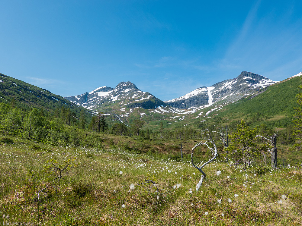 Etter å ha krysset Vinddøla går turen opp Eiterdalen. Nordryggen av Pekhøtta sees allerede fra starten.