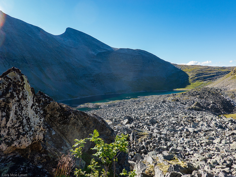 Første besøk ble smultringen "Navardalsnebba Ø" i Tverrådalen. Må være Trollheimens største steinrøys.