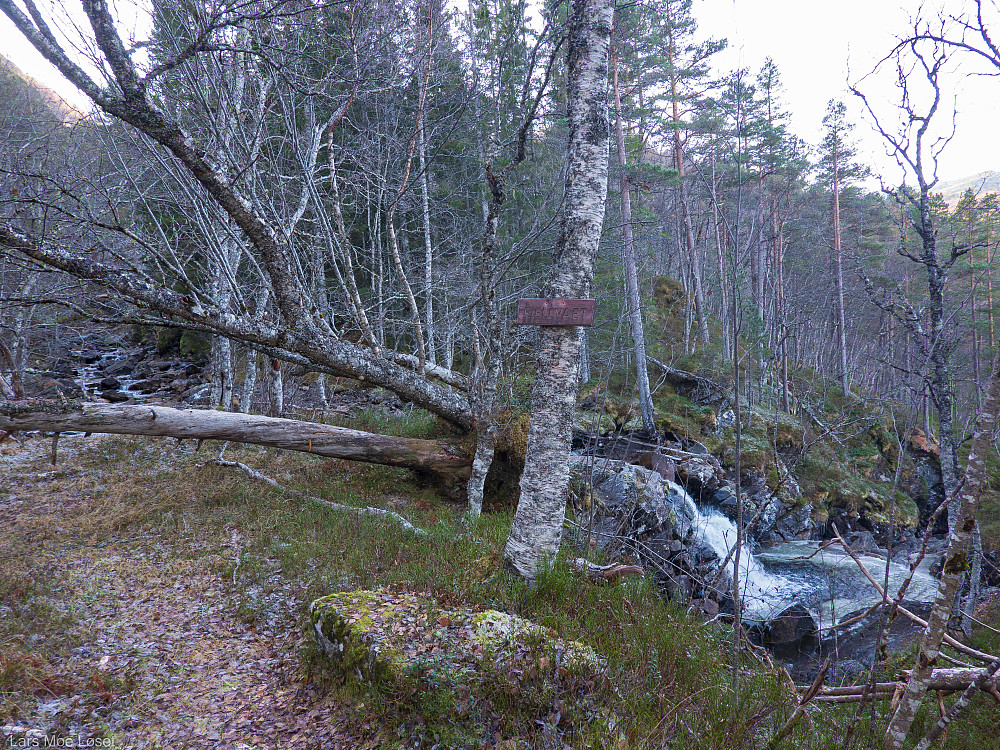 "Fjellvaet", hvis en har tenkt seg opp Kjølrabben.