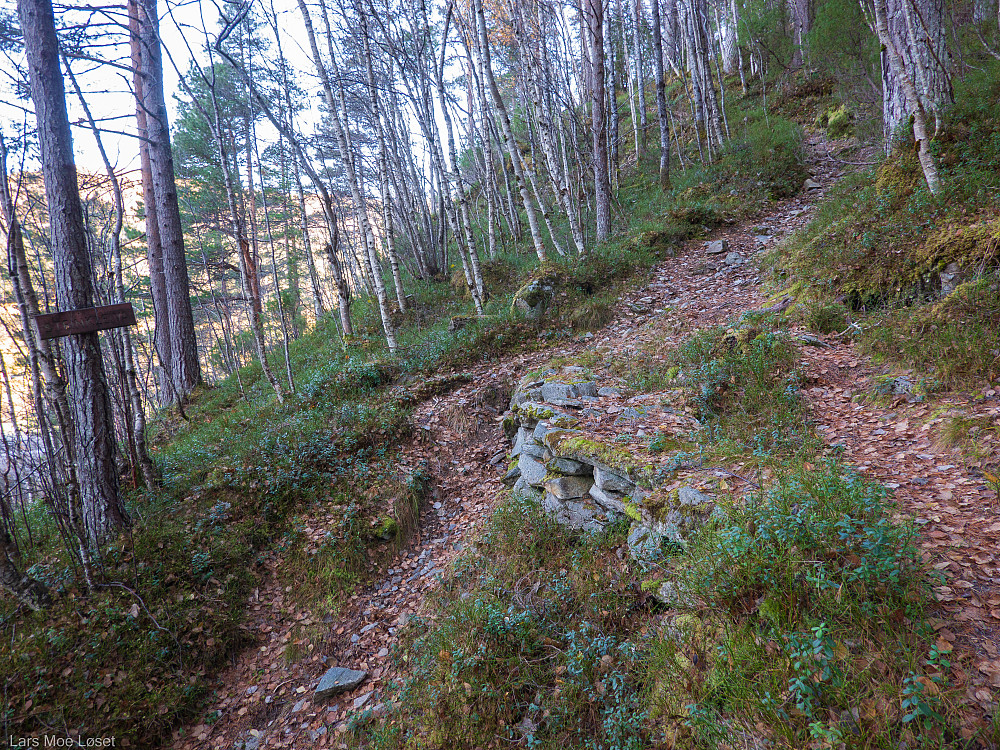 Fin sti opp "Steinkleiva" etter at traktorveien slutter.