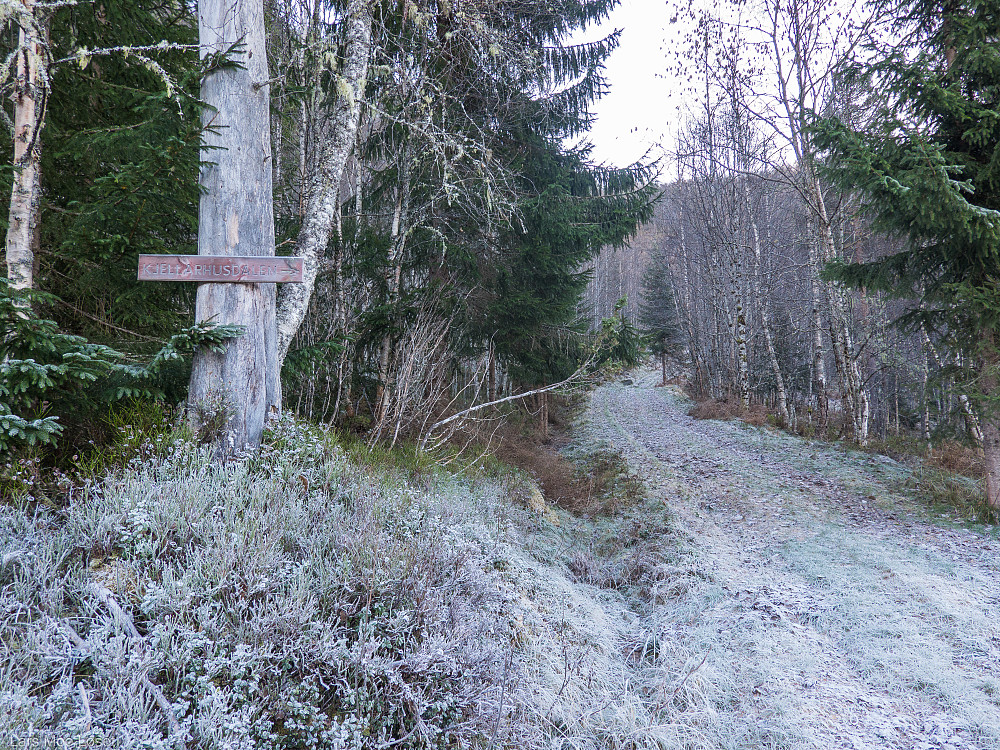 Etter å ha krysset Fossåa starter turen opp "Kjellarhusdalen". Det første stykket etter traktorvei.