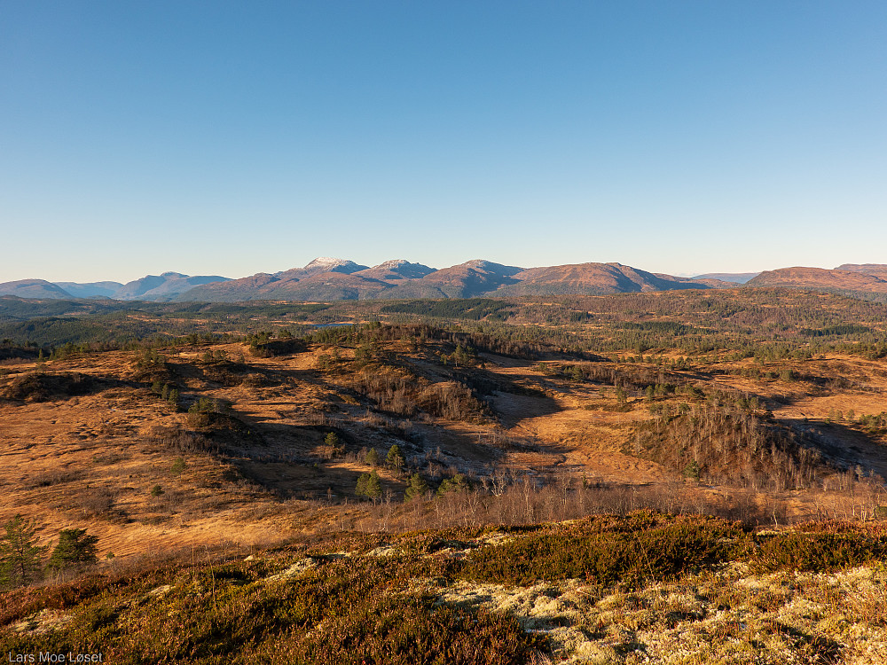 Bollåthaugan
