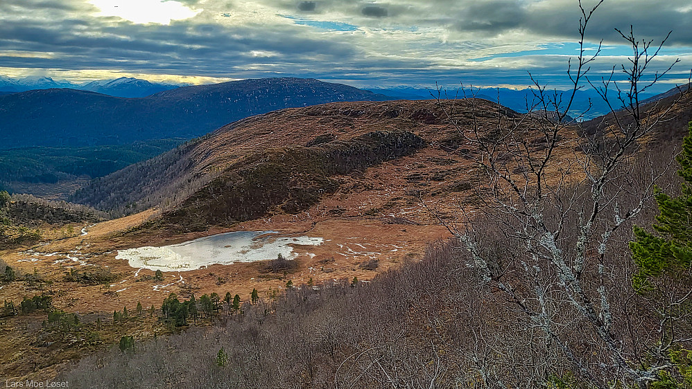 "Rundhaugen"
