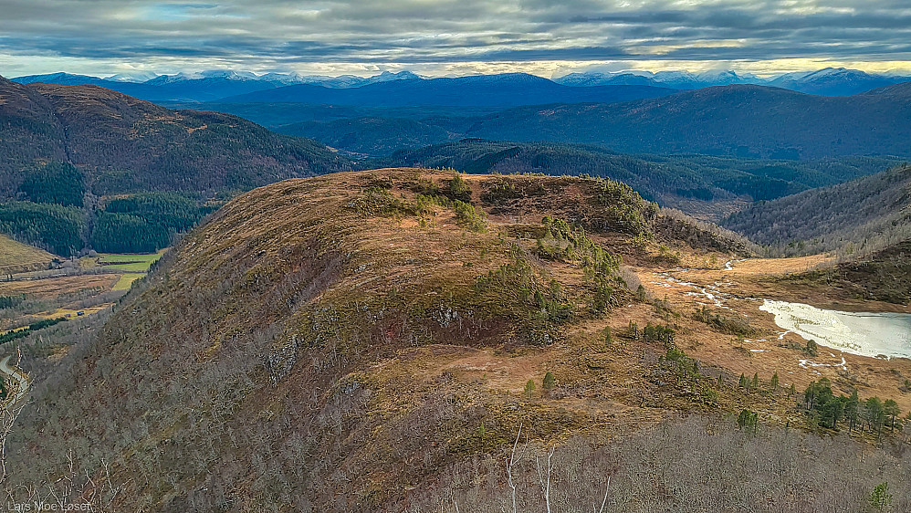 Ørngarden 