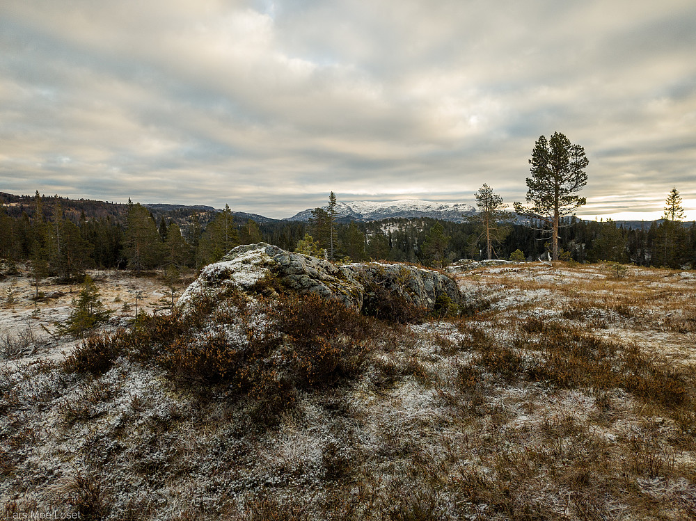 Turen startet med en liten avstikker om Havåsen.