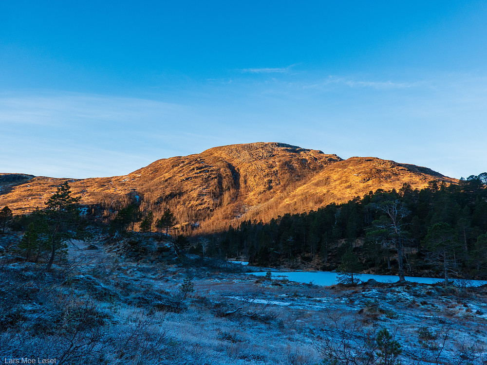 Ble møtt av morgensola på Steinfjellet, oppe på Vasshalsen.