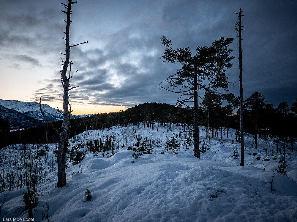 Oppstart ved Åsbøhalsen.