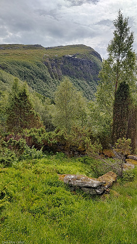 Heimsetra