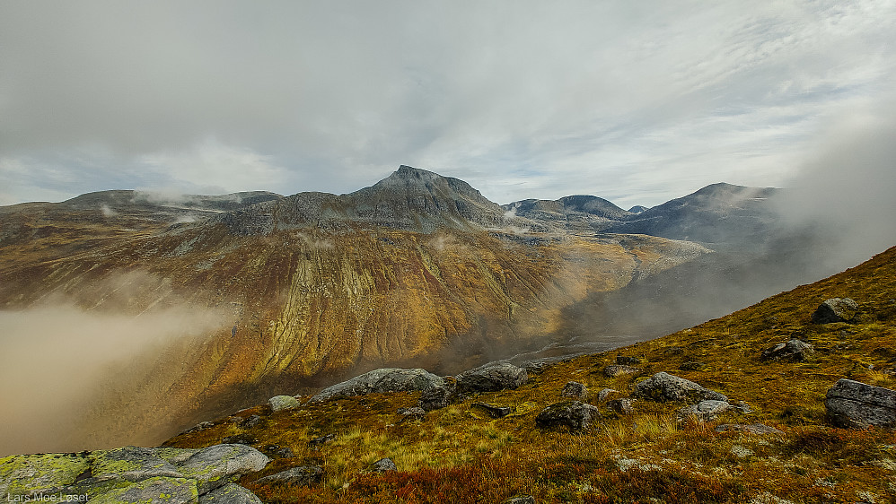 Oppe på fjellet ligger Blånebba i høstdrakt.