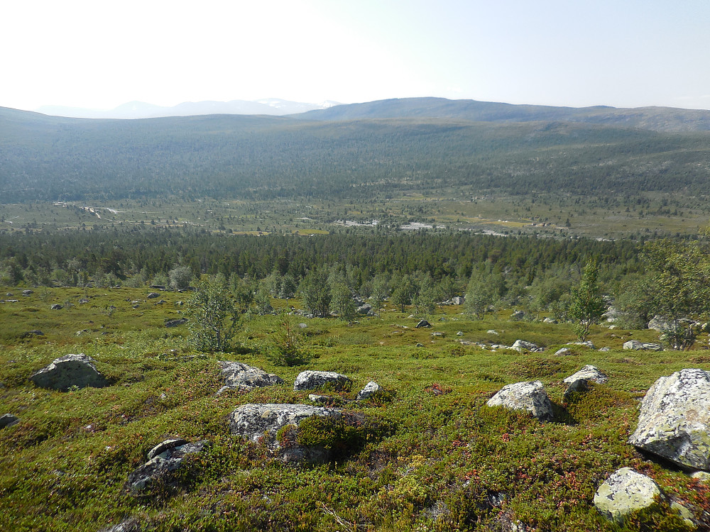 Vangen sett fra Hømillom.