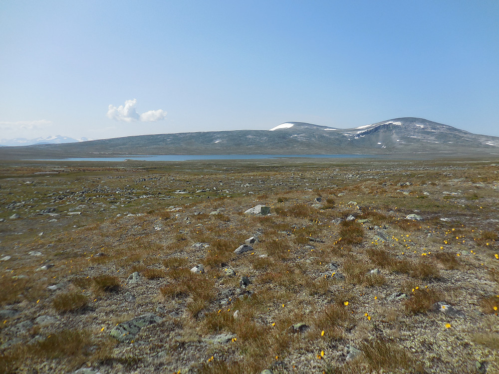 Råkåvatnet ligger fint til bortved Leirungshøi.