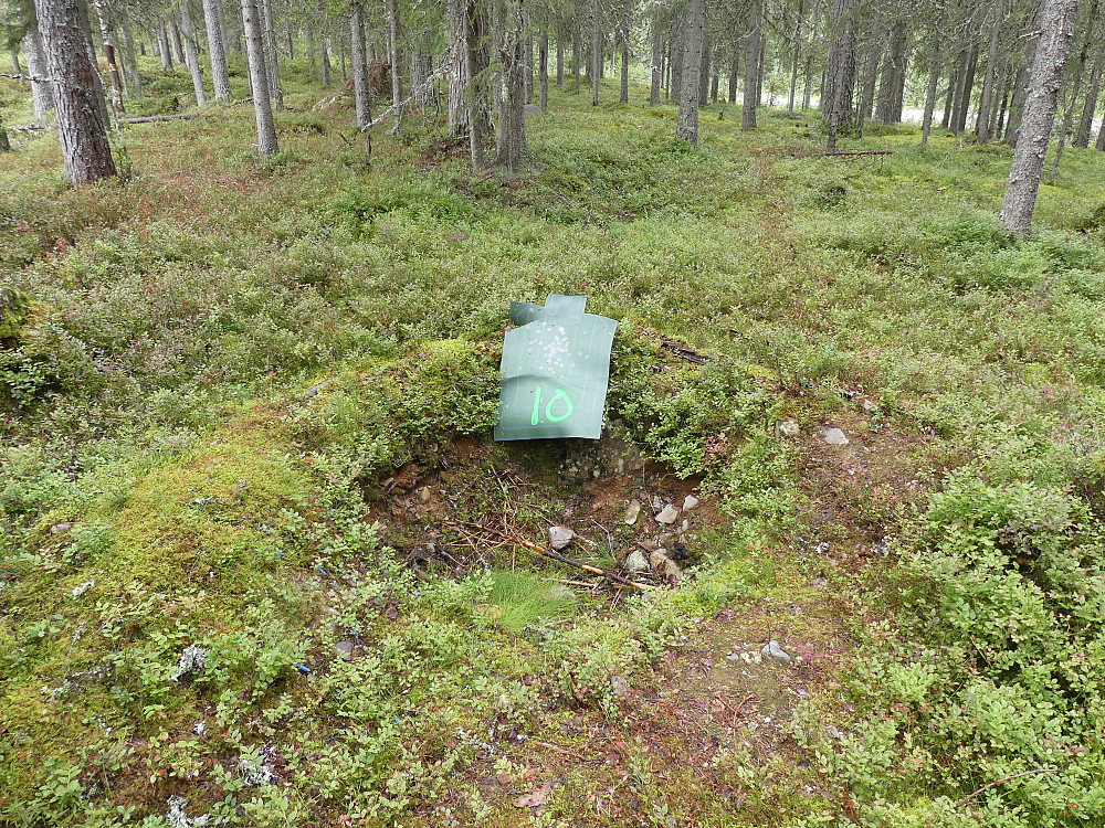Det har vært en skikkelig fulltreffer her på toppen av Sør for Sjøbua, 390 moh.