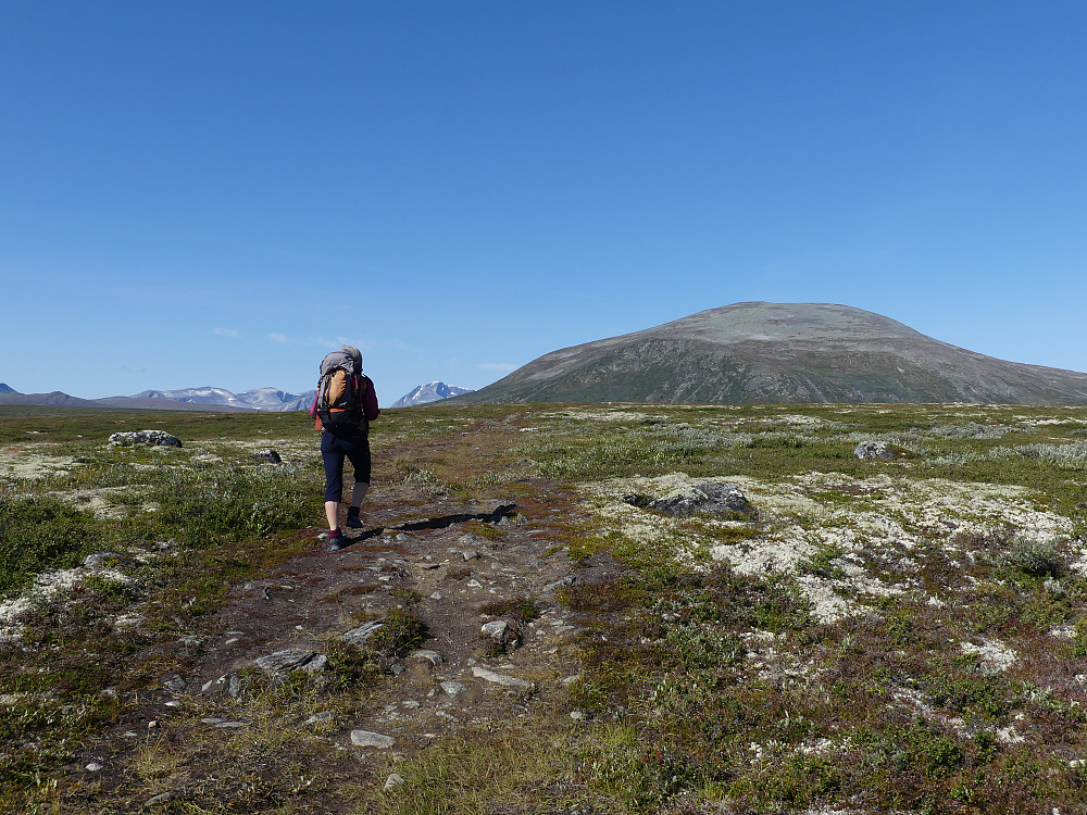 Fra Grønbakken og inn til foten av Kolla fulgte vi sti.