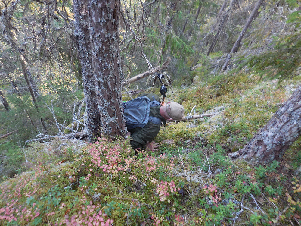 Håkon i cruxet opp mot Vest for Veslgjettjennet.