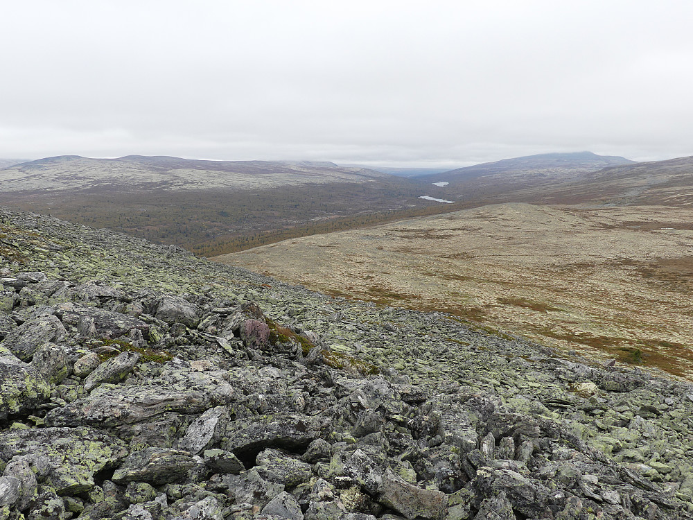Spekedalen.