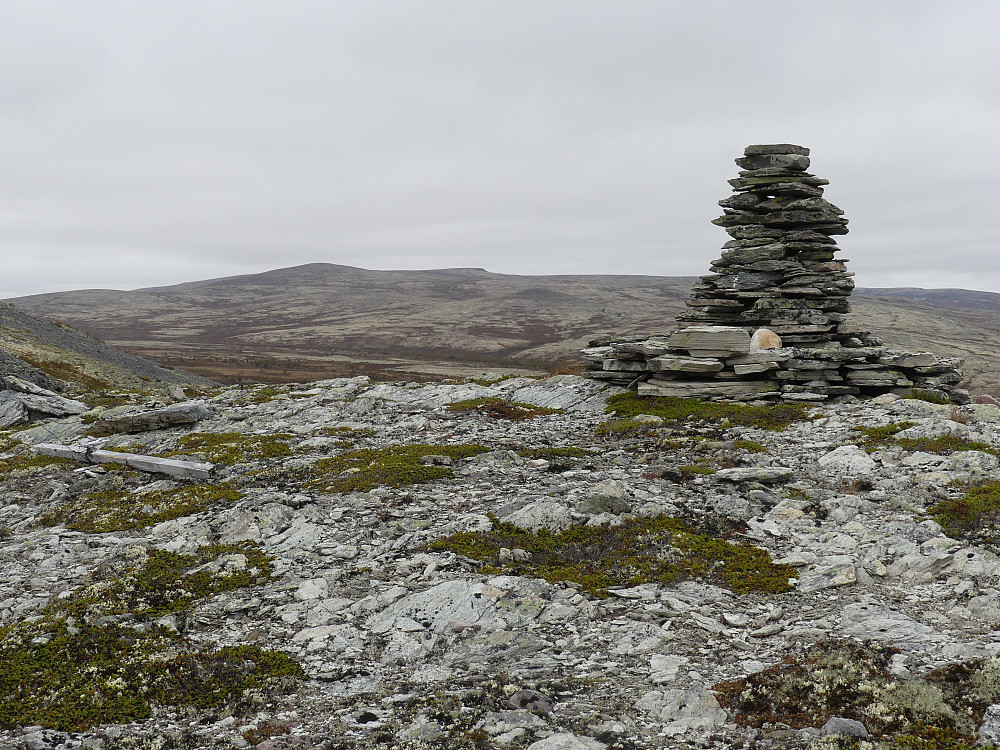 På Veslhøa, 1050 moh. I bakgrunnen ses Firkanthøgda.