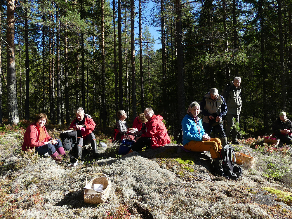 Pust i bakken et sted i Bronkeberglia.