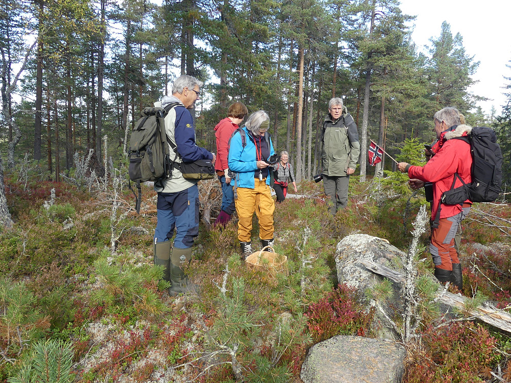 Hele gjengen på toppen av Bronkeberget, 428 moh.