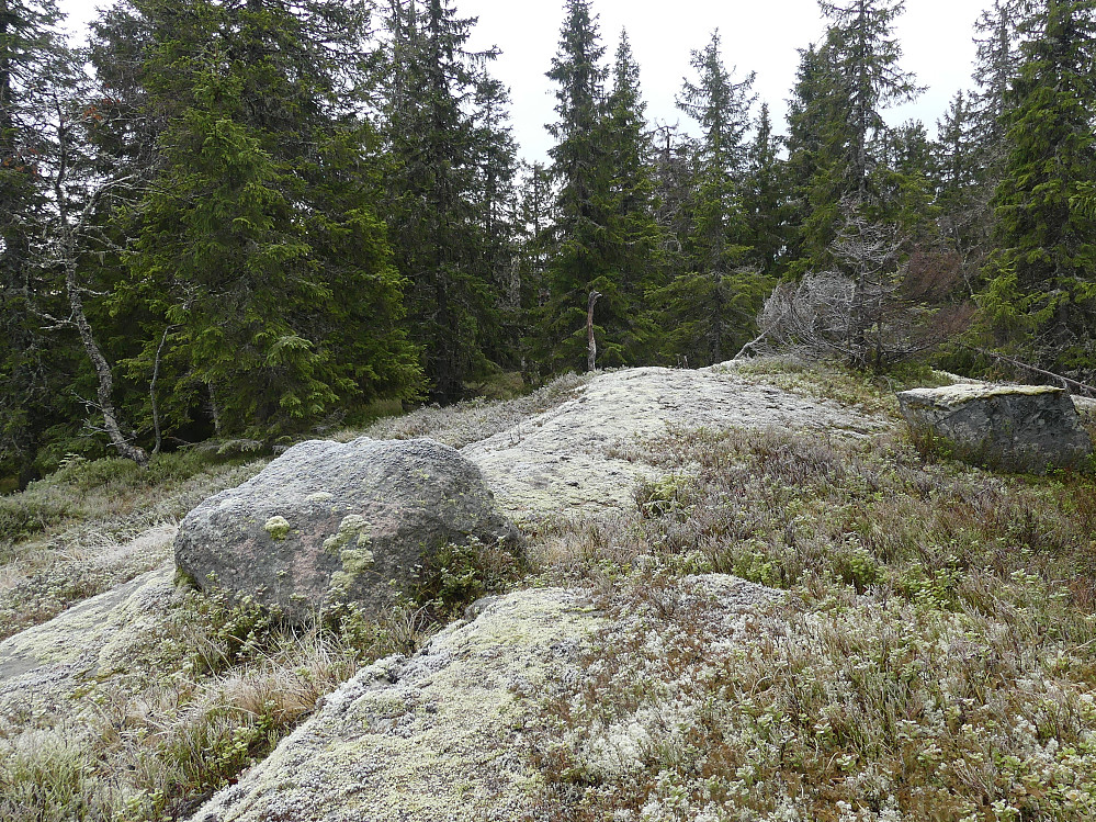 På toppen av Korpehaugen, 762 moh.