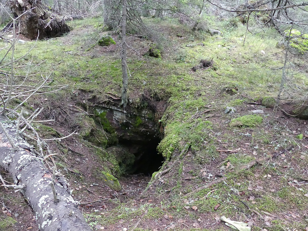 Jeg snublet over et hi, krabbet 5 m innover, og da...
