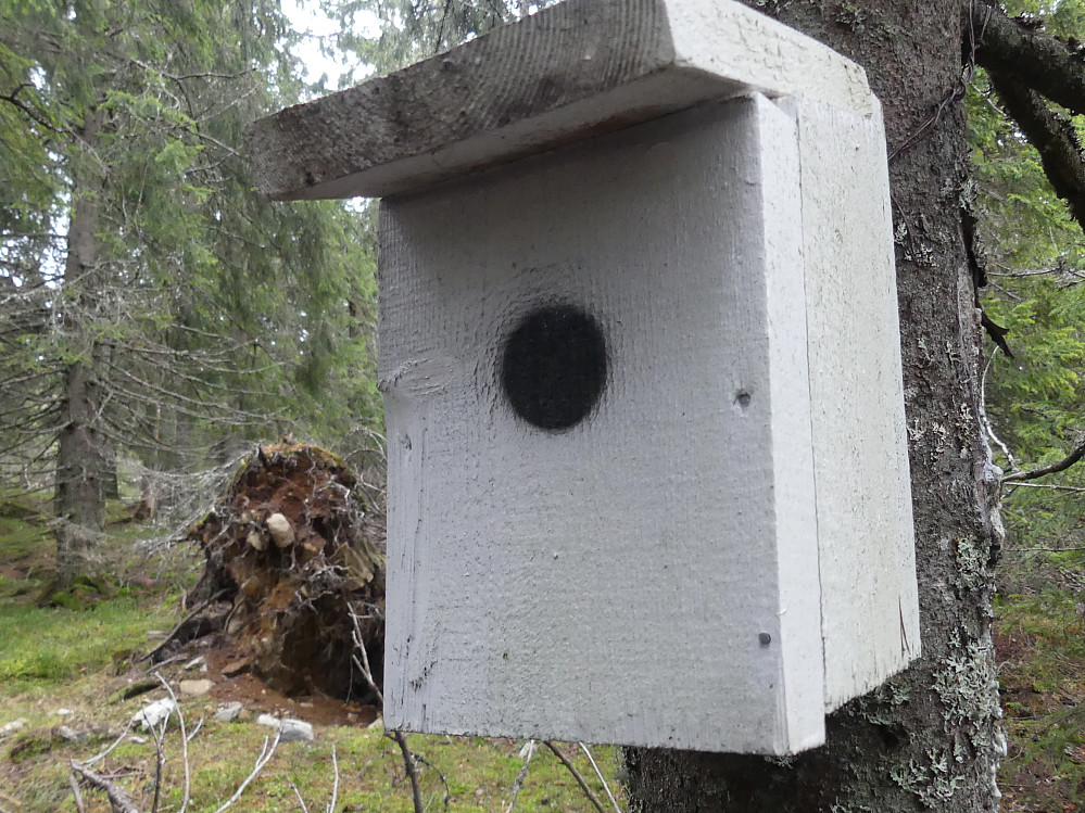 Mye rart i disse skogene. Lurte fælt på hvem denne var tiltenkt!