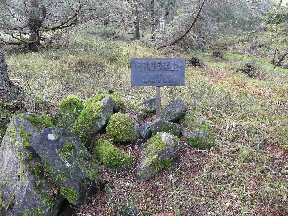 Hurdal turlag hadde merket sti til det som var igjen av Fagerlisetra. Herfra måtte jeg finne fram på egenhånd.