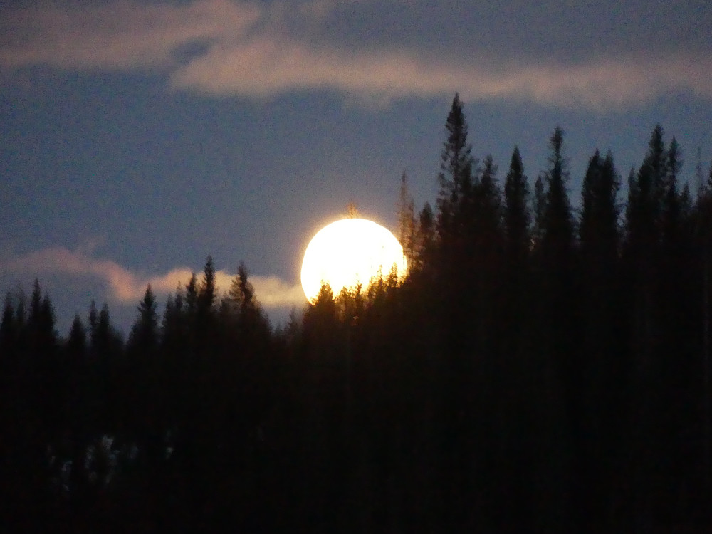Fullmånen dukker opp i det vi når Buøykampen på returen.